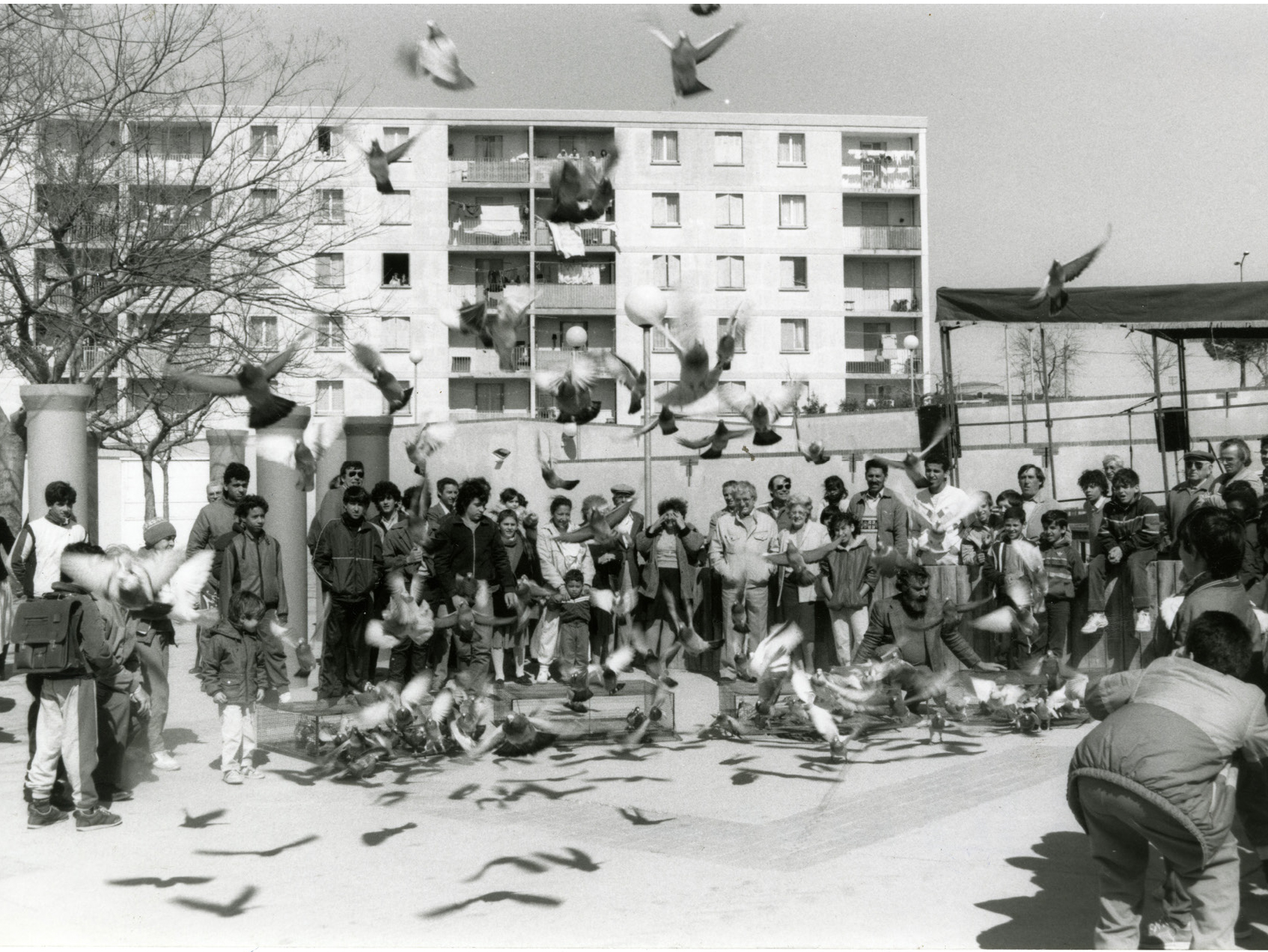 vgh company header Mas de Pouane